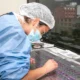 Young female scientist preparing microscope slides for pathological analysis in a lab.