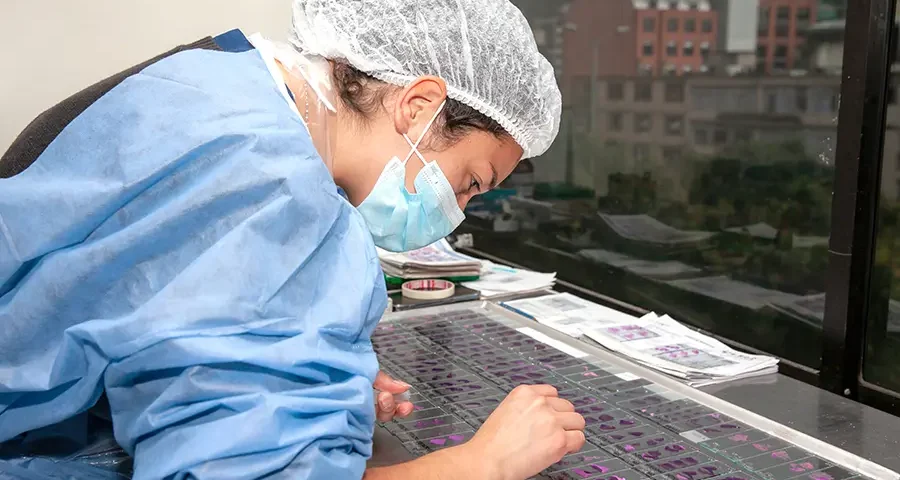 Young female scientist preparing microscope slides for pathological analysis in a lab.
