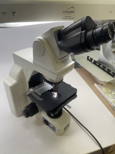 Nikon Microscope Eclipse E400 w/ 100X Objective And 10x Objective - Image 2