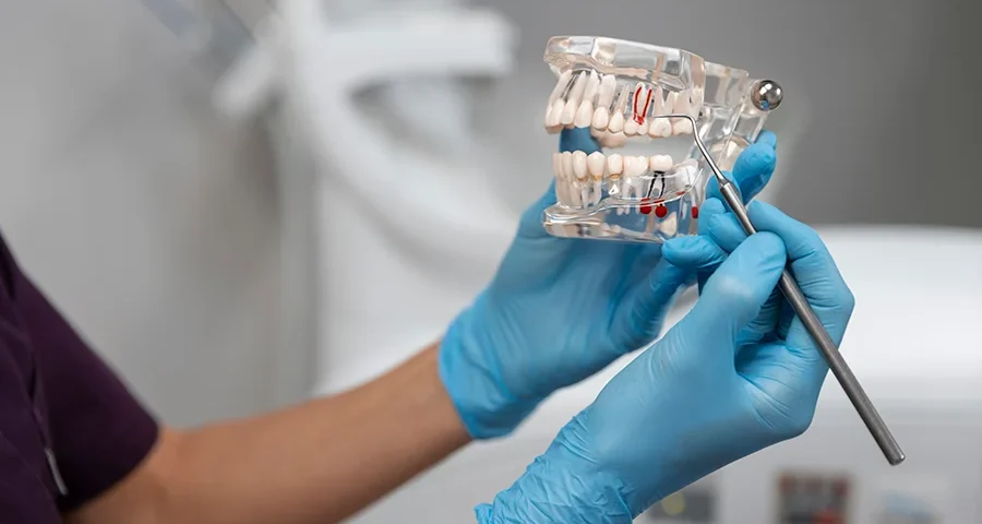 Close-up of dental tools on a metal tray, commonly used in clinical training for dentistry students.