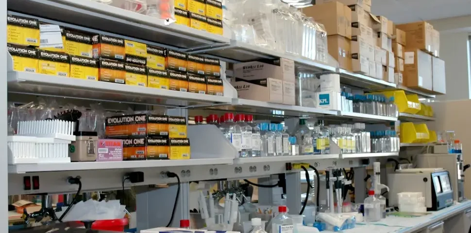 optimización del inventario de suministros médicos